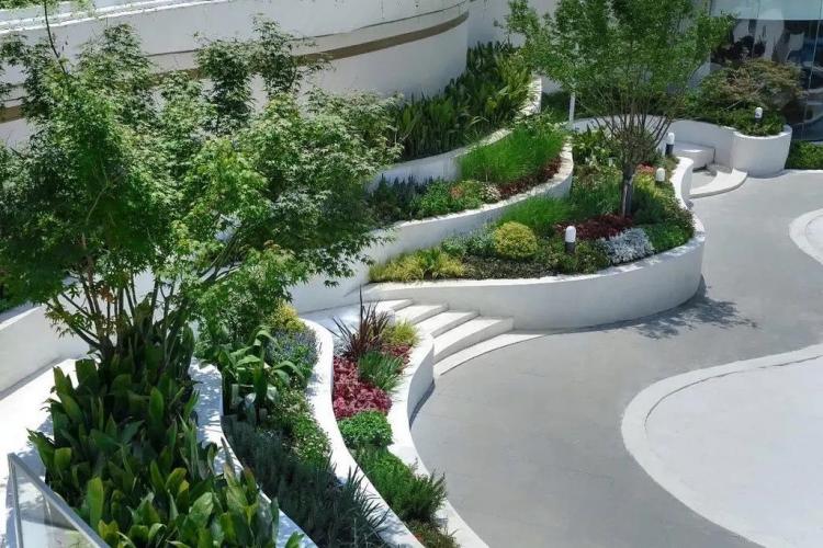 臨沂泰安民宿樓頂花園綠化設(shè)計
